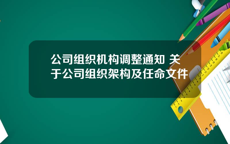 公司组织机构调整通知 关于公司组织架构及任命文件